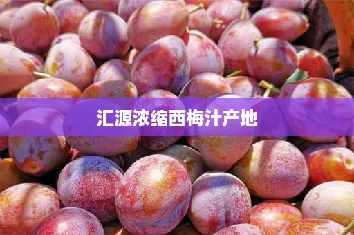 汇源浓缩西梅汁产地