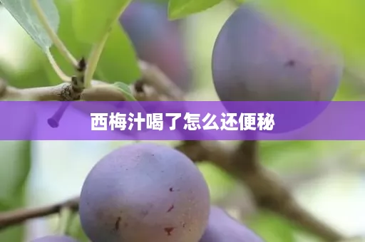 西梅汁喝了怎么还便秘