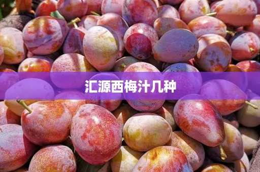 汇源西梅汁几种