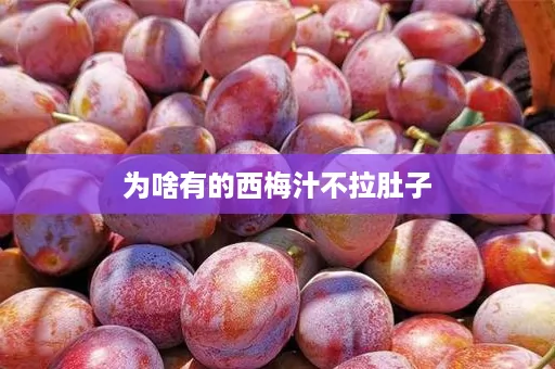 为啥有的西梅汁不拉肚子