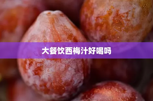 大餐饮西梅汁好喝吗