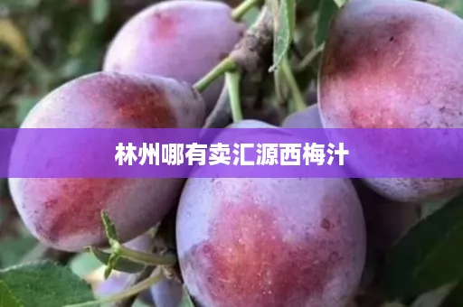 林州哪有卖汇源西梅汁