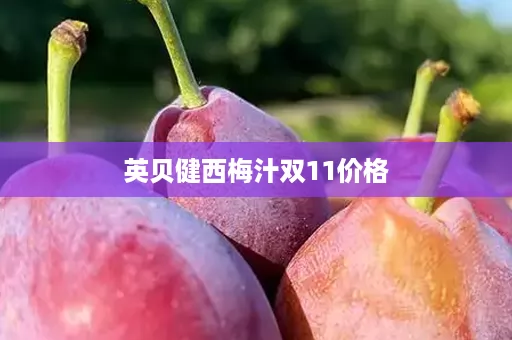 英贝健西梅汁双11价格