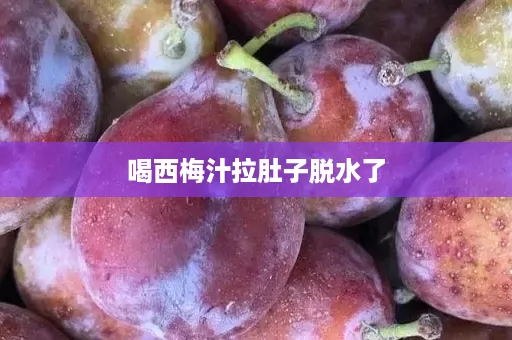 喝西梅汁拉肚子脱水了