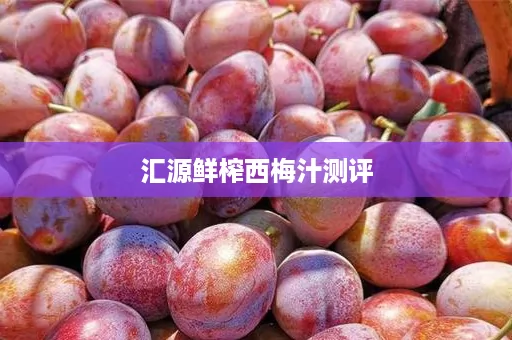 汇源鲜榨西梅汁测评