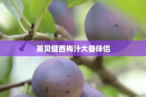 英贝健西梅汁大餐伴侣