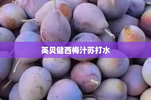 英贝健西梅汁苏打水