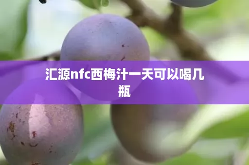 汇源nfc西梅汁一天可以喝几瓶