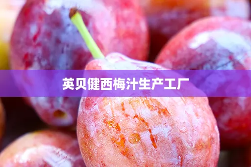 英贝健西梅汁生产工厂