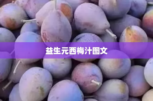 益生元西梅汁图文
