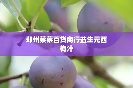郑州蔡蔡百货商行益生元西梅汁