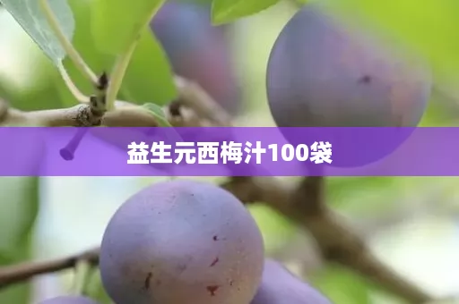 益生元西梅汁100袋