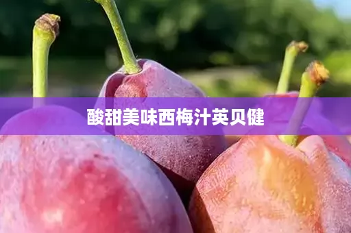 酸甜美味西梅汁英贝健