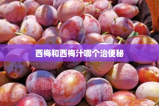 西梅和西梅汁哪个治便秘
