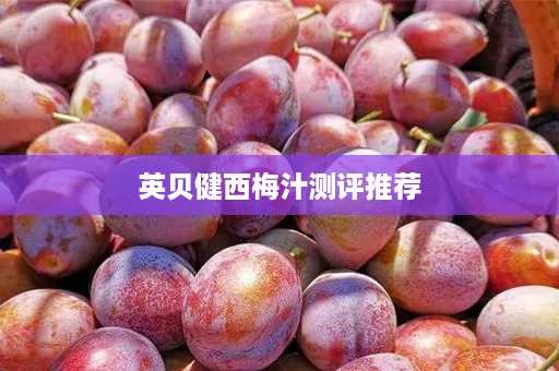 英贝健西梅汁测评推荐