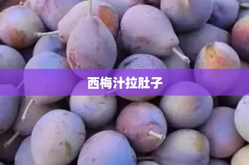 西梅汁拉肚子