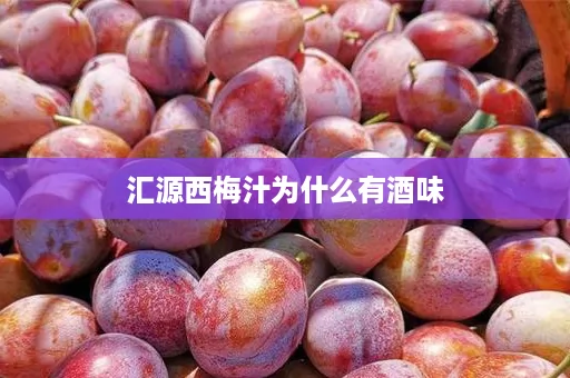 汇源西梅汁为什么有酒味