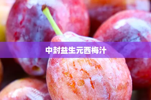 中封益生元西梅汁