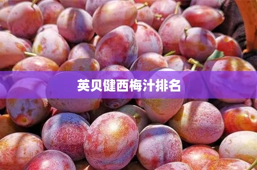 英贝健西梅汁排名