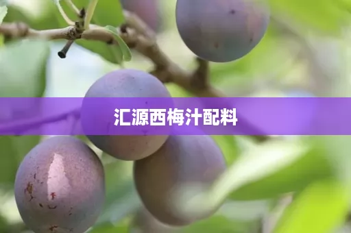 汇源西梅汁配料