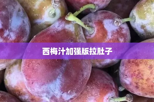 西梅汁加强版拉肚子