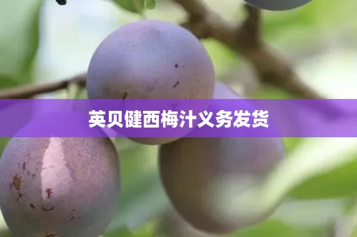 英贝健西梅汁义务发货