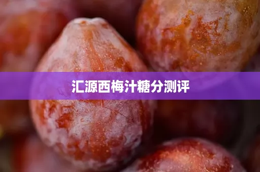 汇源西梅汁糖分测评