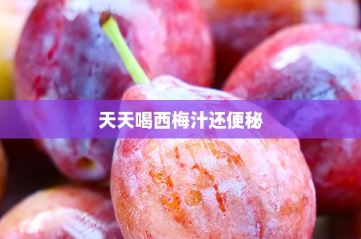 天天喝西梅汁还便秘