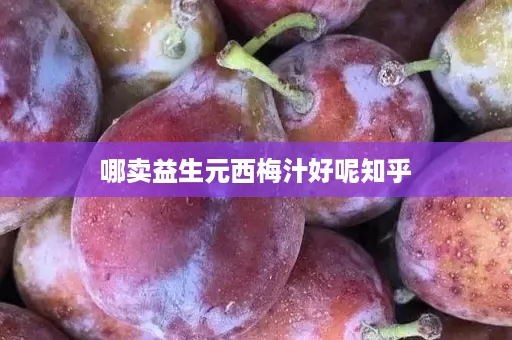 哪卖益生元西梅汁好呢知乎