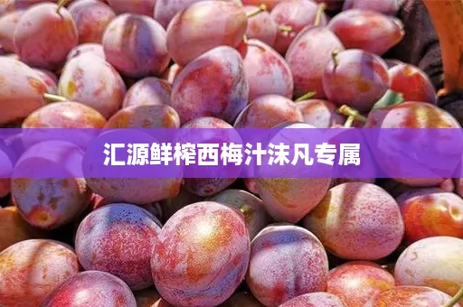汇源鲜榨西梅汁沫凡专属