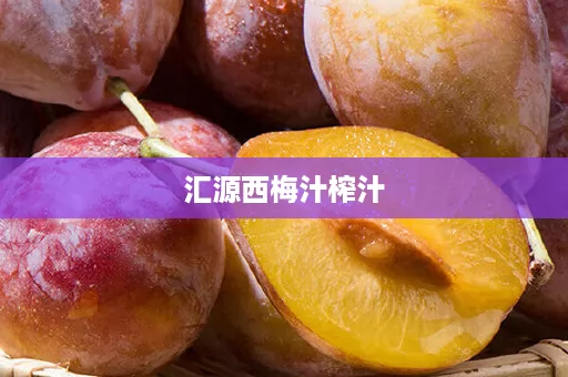 汇源西梅汁榨汁