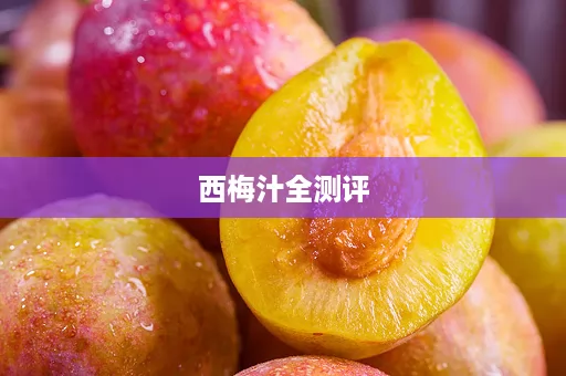 西梅汁全测评