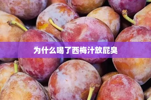 为什么喝了西梅汁放屁臭