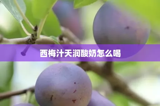 西梅汁天润酸奶怎么喝
