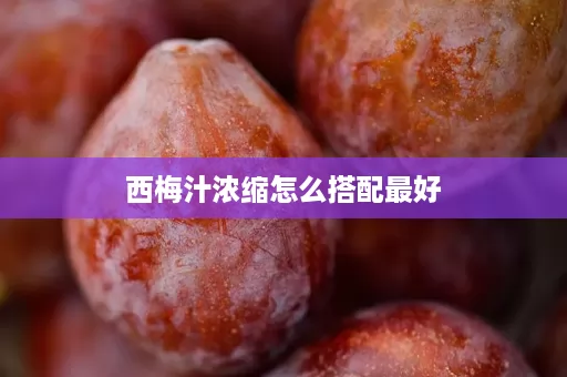 西梅汁浓缩怎么搭配最好