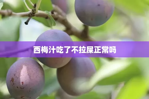 西梅汁吃了不拉屎正常吗