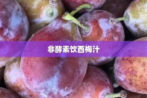 非酵素饮西梅汁