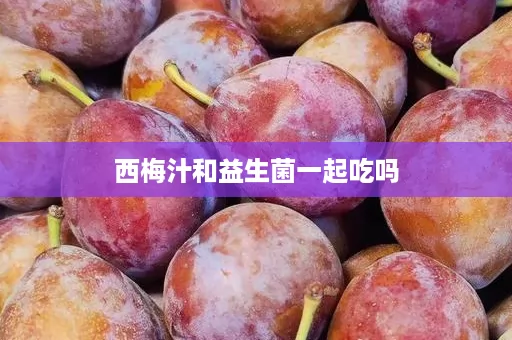 西梅汁和益生菌一起吃吗