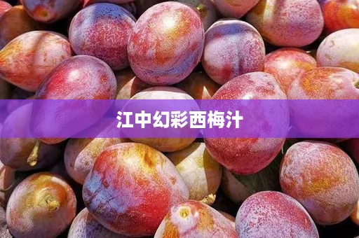 江中幻彩西梅汁