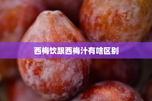 西梅饮跟西梅汁有啥区别