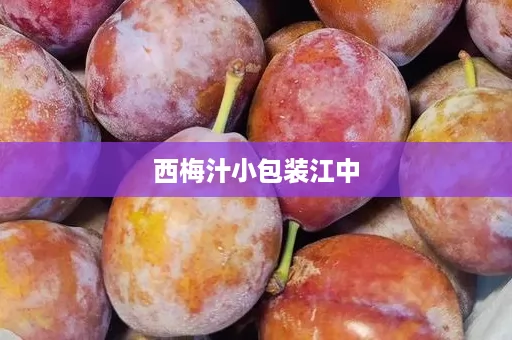 西梅汁小包装江中