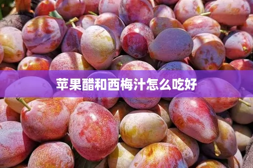 苹果醋和西梅汁怎么吃好