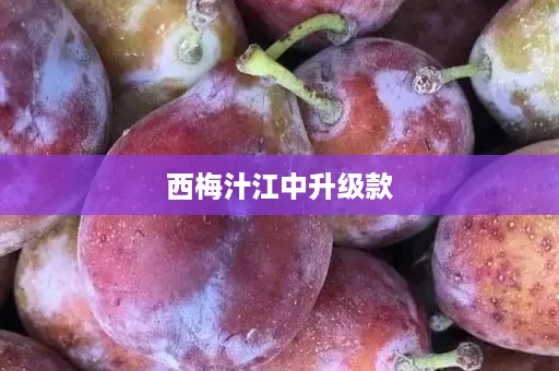 西梅汁江中升级款
