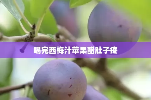 喝完西梅汁苹果醋肚子疼
