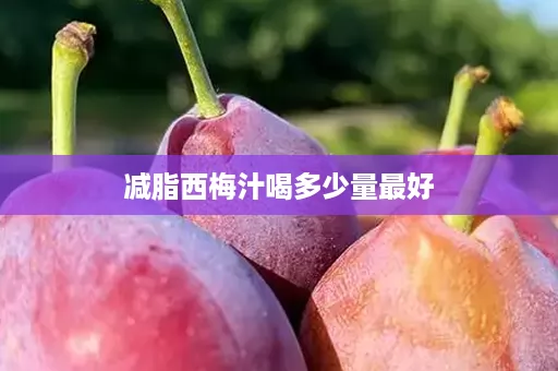 减脂西梅汁喝多少量最好