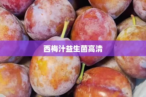 西梅汁益生菌高清