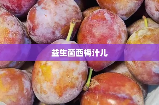 益生菌西梅汁儿