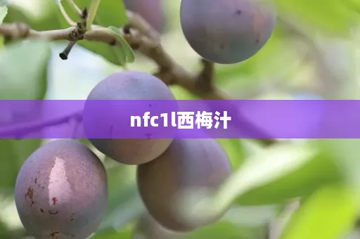 nfc1l西梅汁