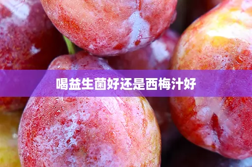 喝益生菌好还是西梅汁好