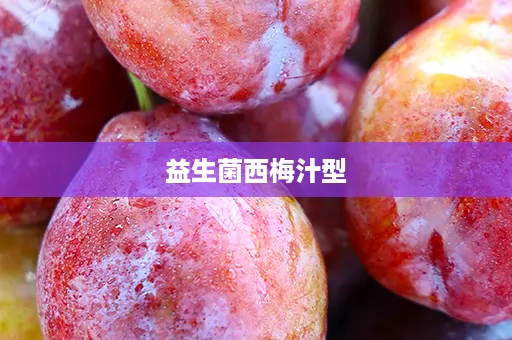 益生菌西梅汁型